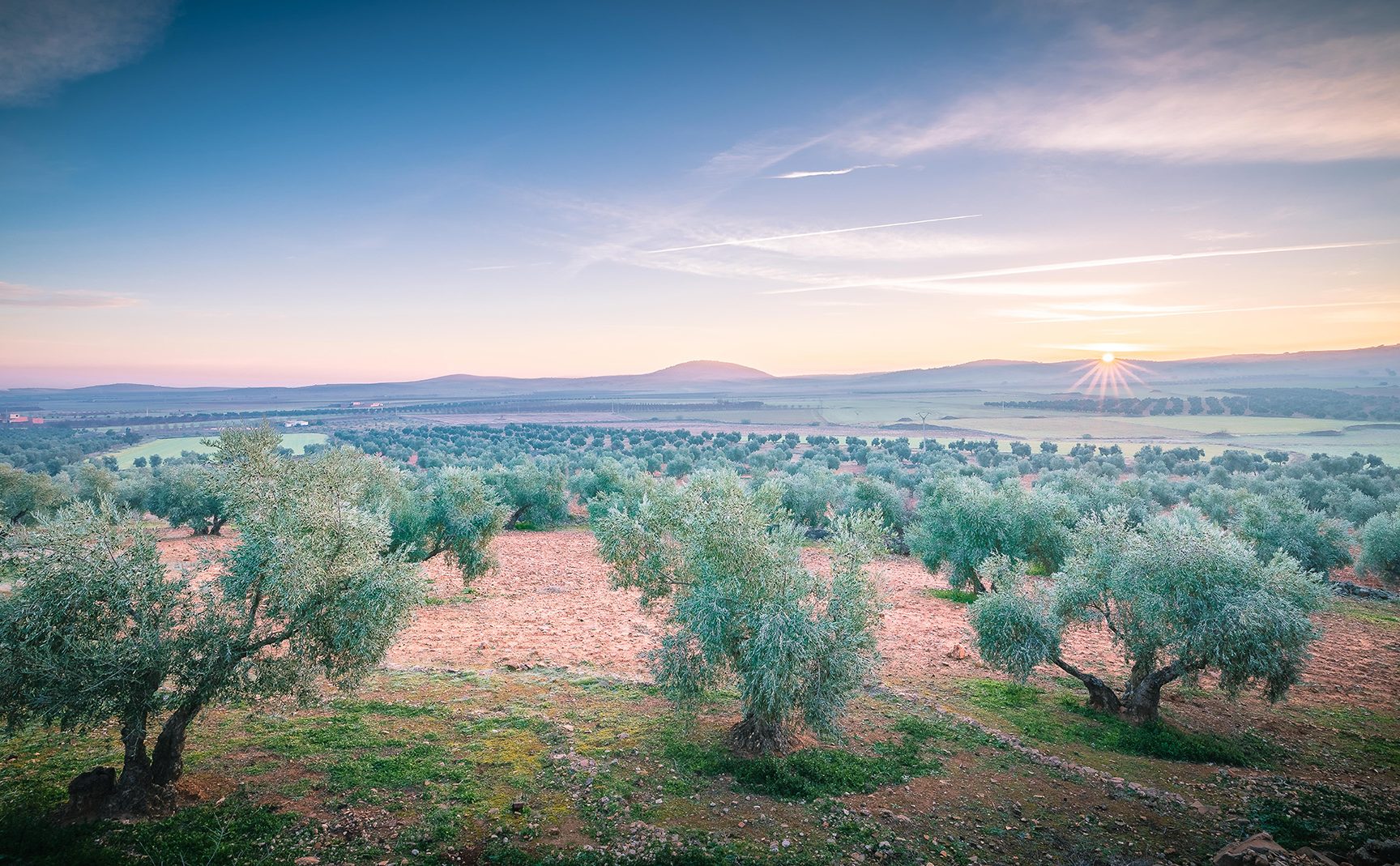 ENOTURISMO EN PRIMAVERA